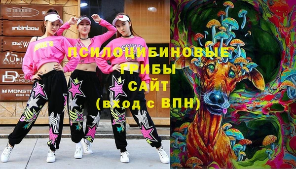 мяу мяу мука Алексин