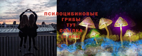 мяу мяу мука Алексин