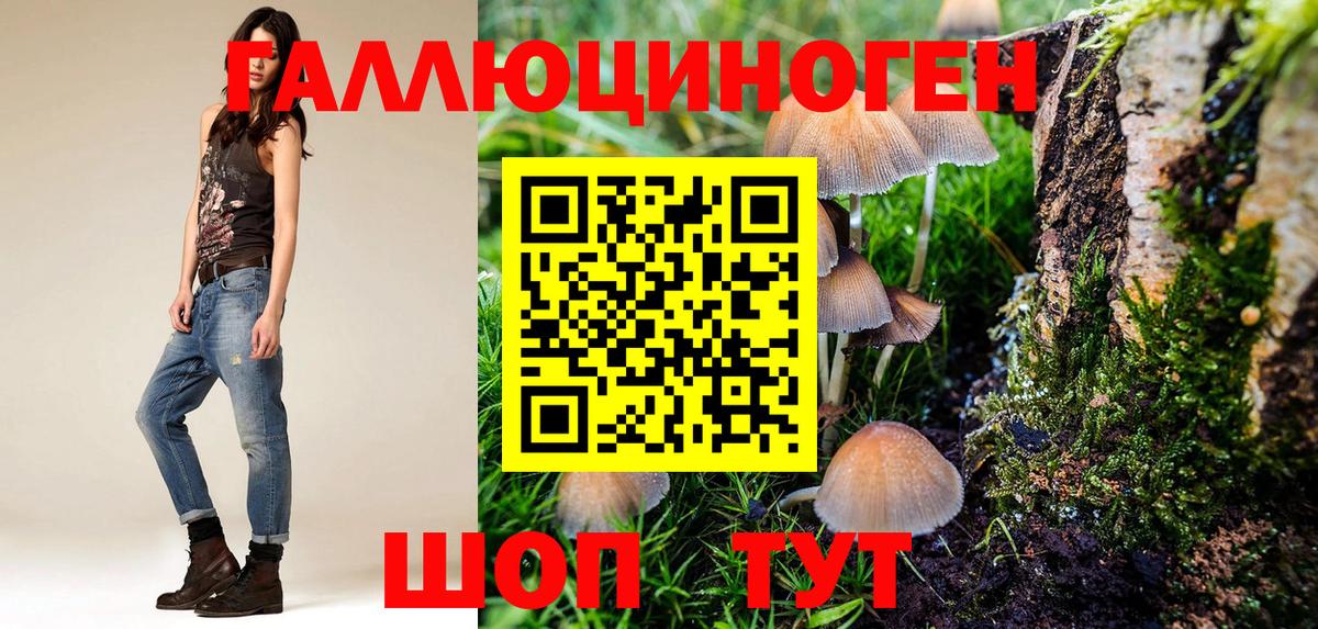 Шебекино  Галлюциногенные грибы мухоморы  Вход с VPN 