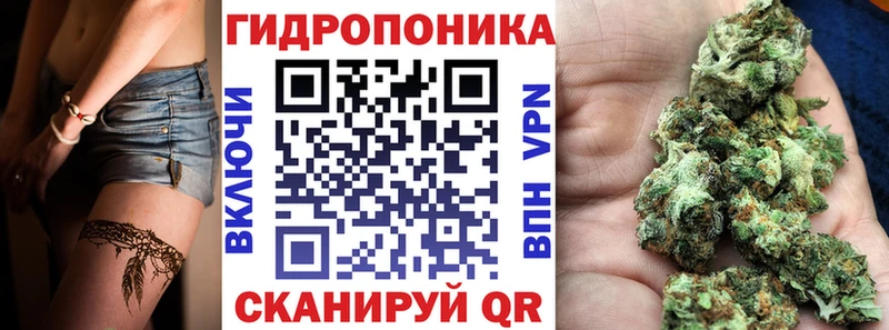 Бошки Шишки Bruce Banner  купить   Шебекино 